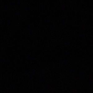 Meet your Posher, Lizzie